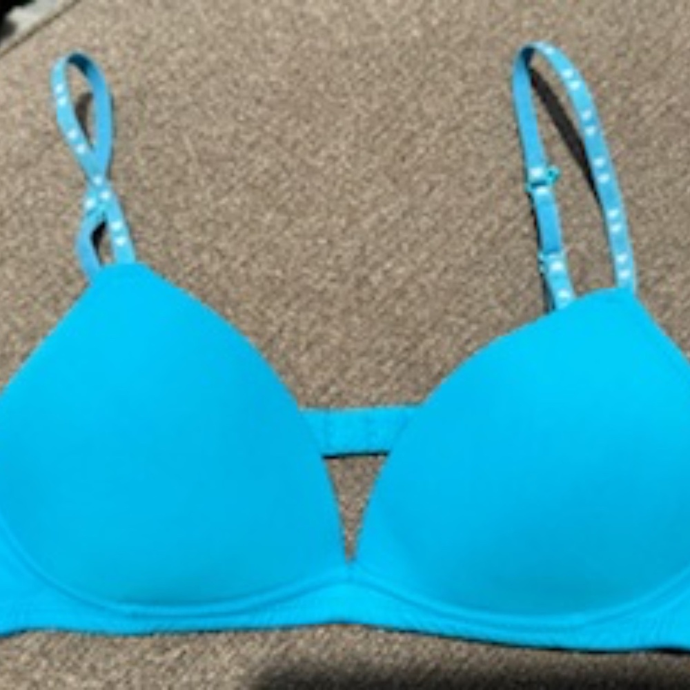 VS PINK teal bra w/ hearts on straps, 34A